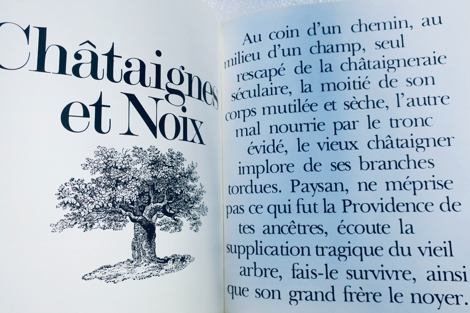 Cuisine PAYSANNE EN FRANCE. LES SECRETS DES FERMES EN Périgord noir - La Librairie Antique