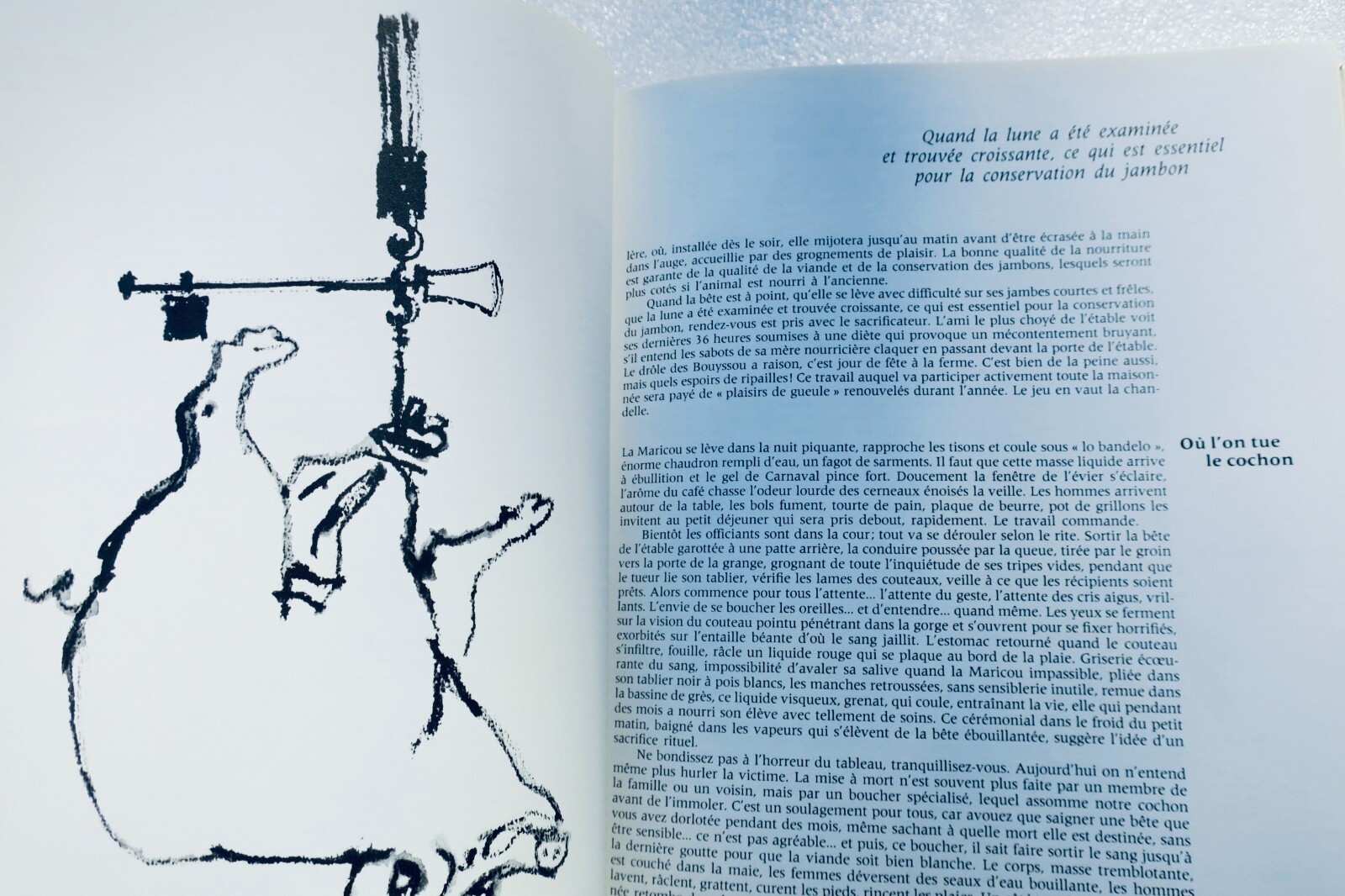 Geheimnisse der ländlichen Küche - Image 8