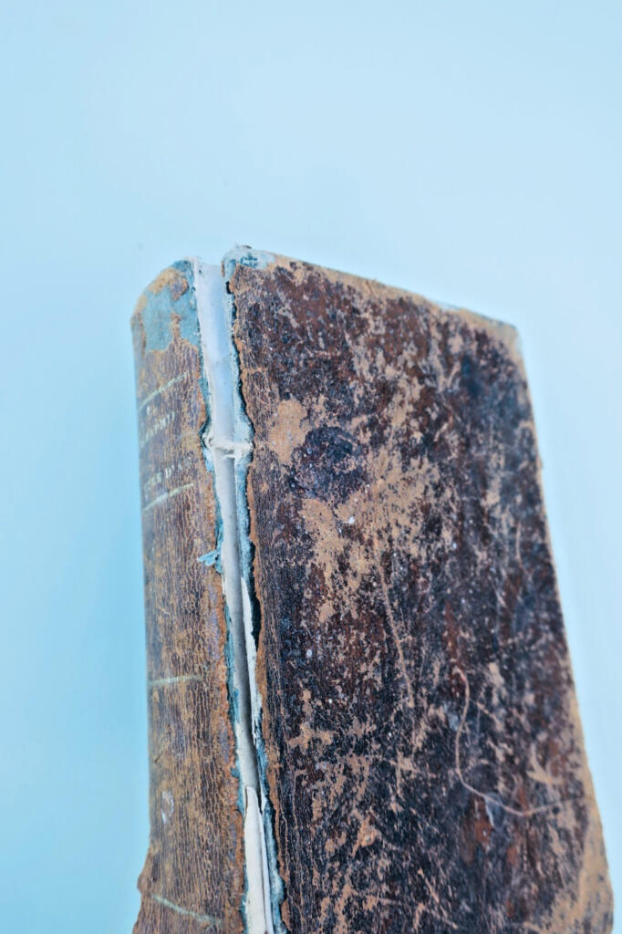 Curé d’Ars biographie de M. le curé d’Ars 1857