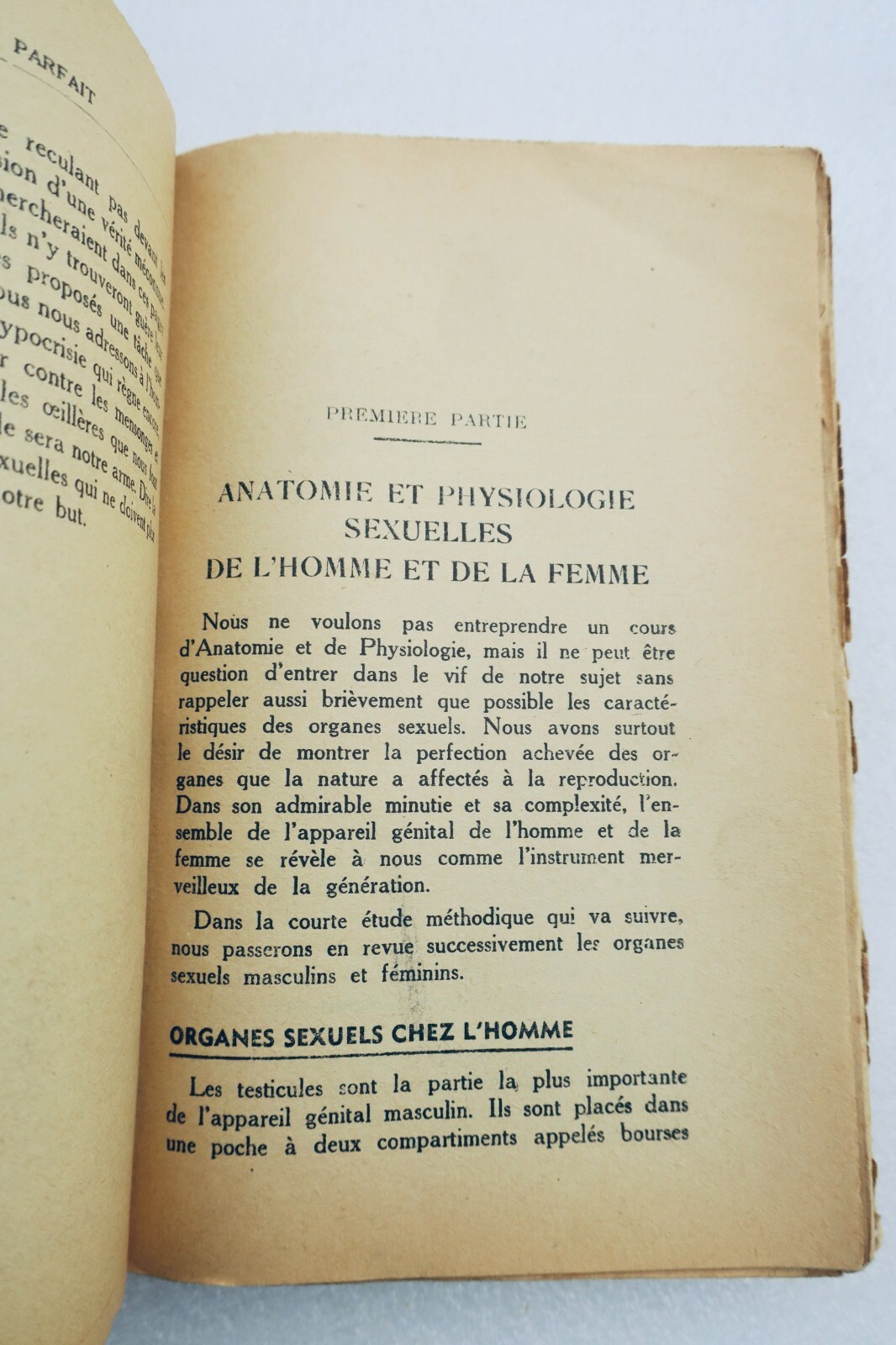 Curiosa L'Amore Perfetto - Enciclopedia Completa Della Vita Sessuale – Image 5