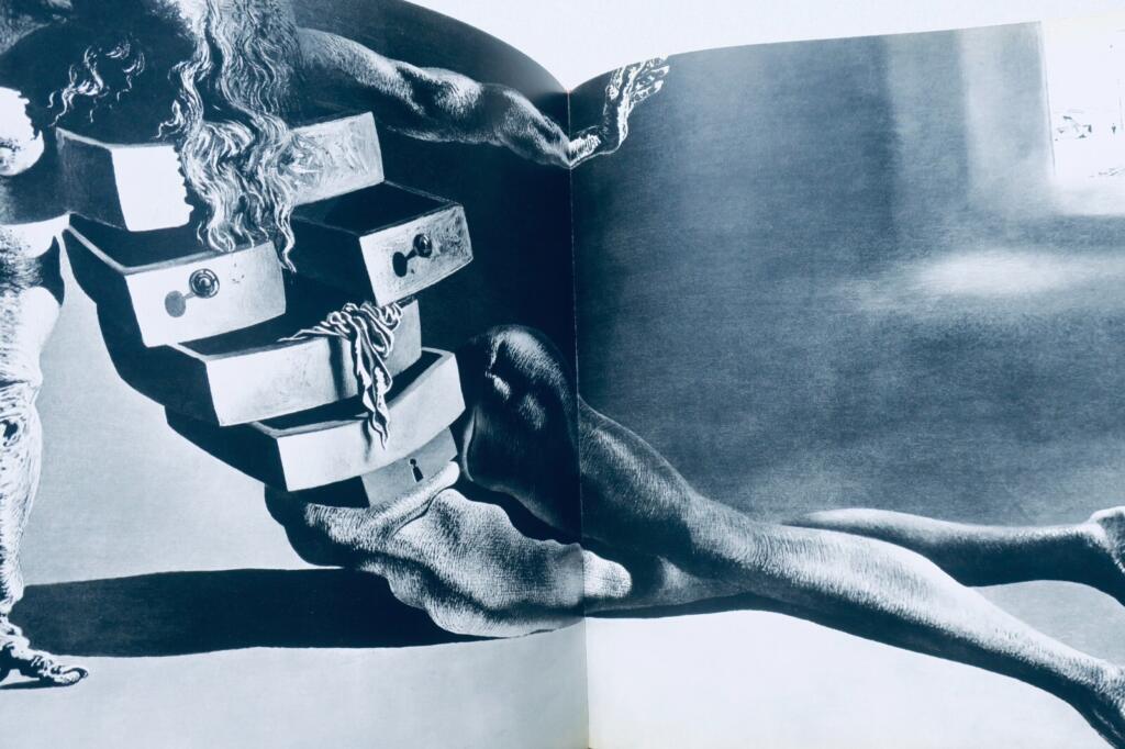 DALI Monographie mit 243 Abbildungen