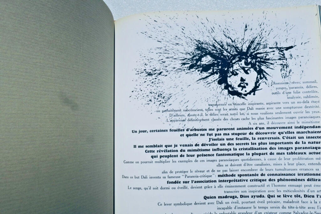 DALI Monographie mit 243 Abbildungen