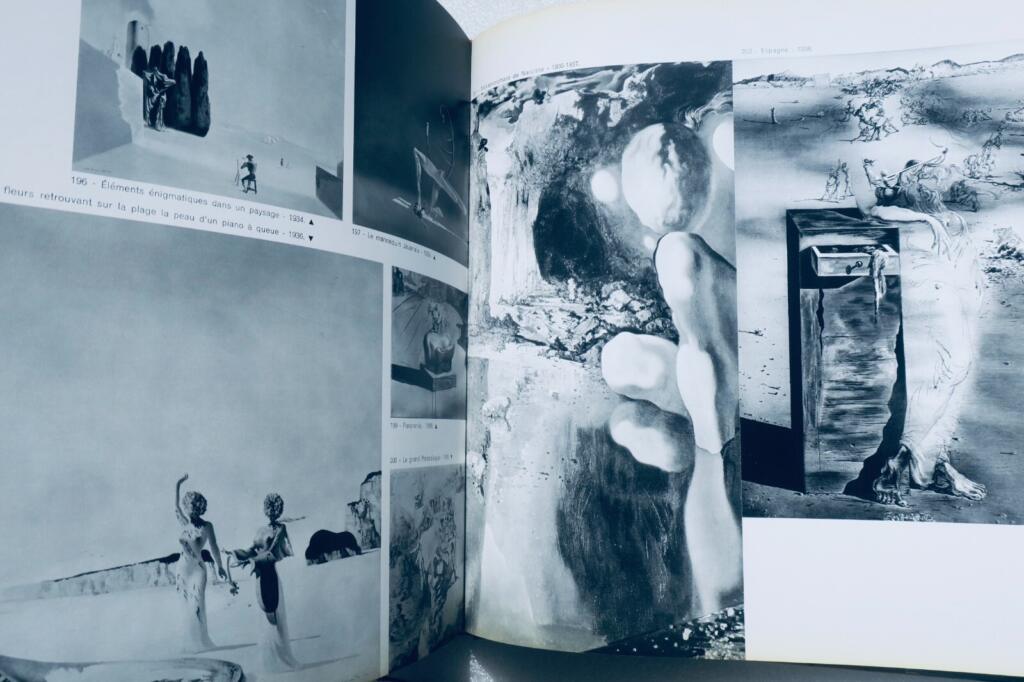 DALI Monographie mit 243 Abbildungen