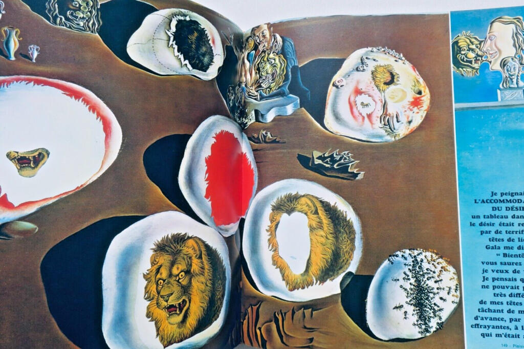 DALI Monographie mit 243 Abbildungen