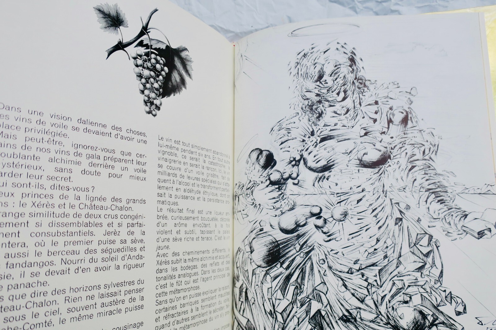 Dalí's Gala Wines - Divine Illustrated Edition<span class="lla-card-orig-wrap"><span class="lla-card-orig">❦ Dali Les vins de gala du divin Draeger</span></span> - La Librairie Antique