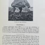 1945年前丹麦历史