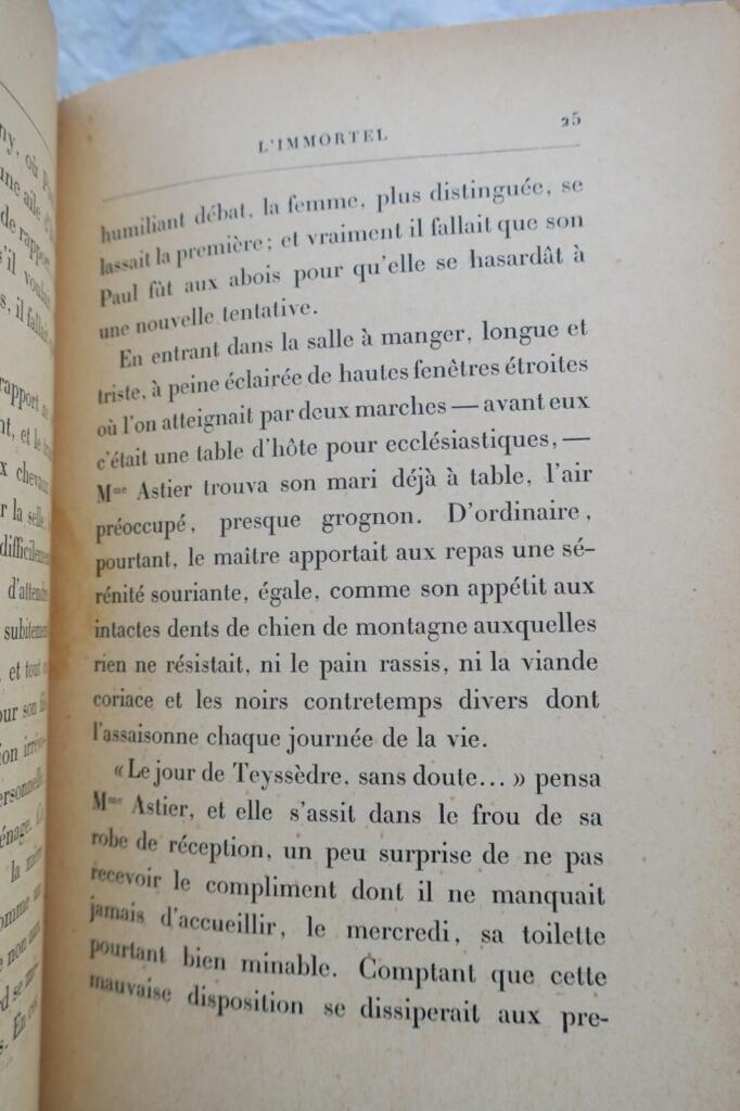 Pariser Leben in Alphonse Daudets Werk