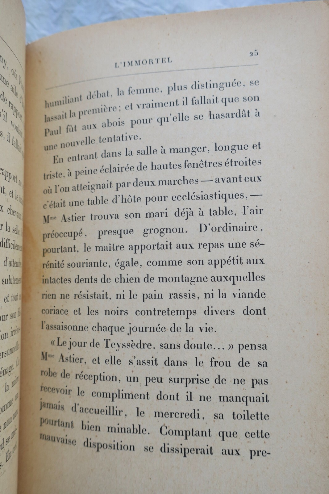 Pariser Leben in Alphonse Daudets Werk - Image 4
