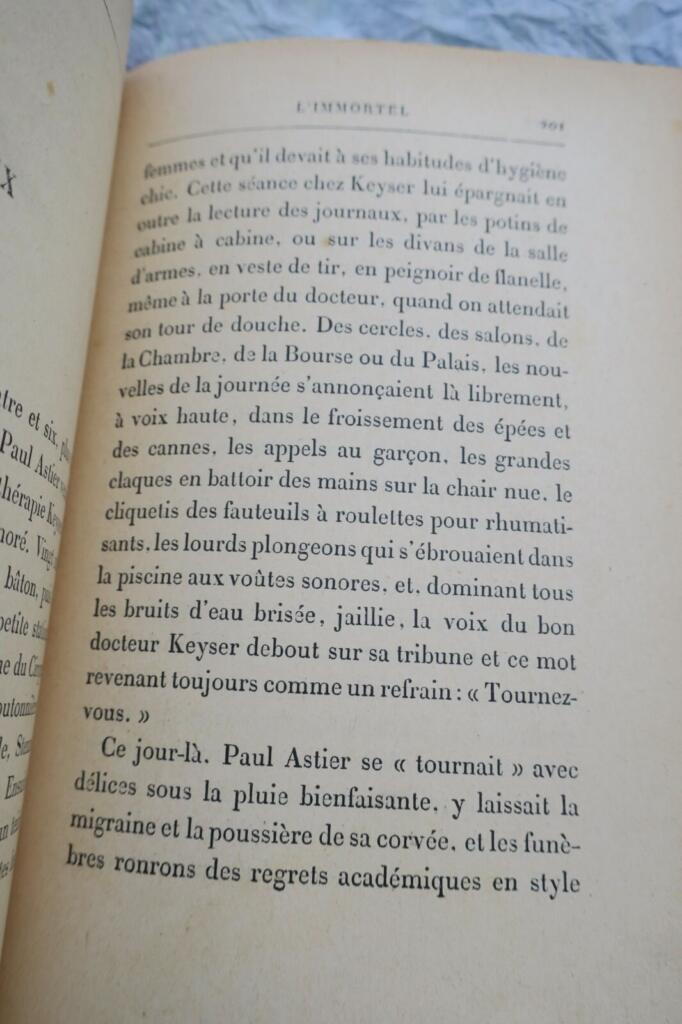 Pariser Leben in Alphonse Daudets Werk