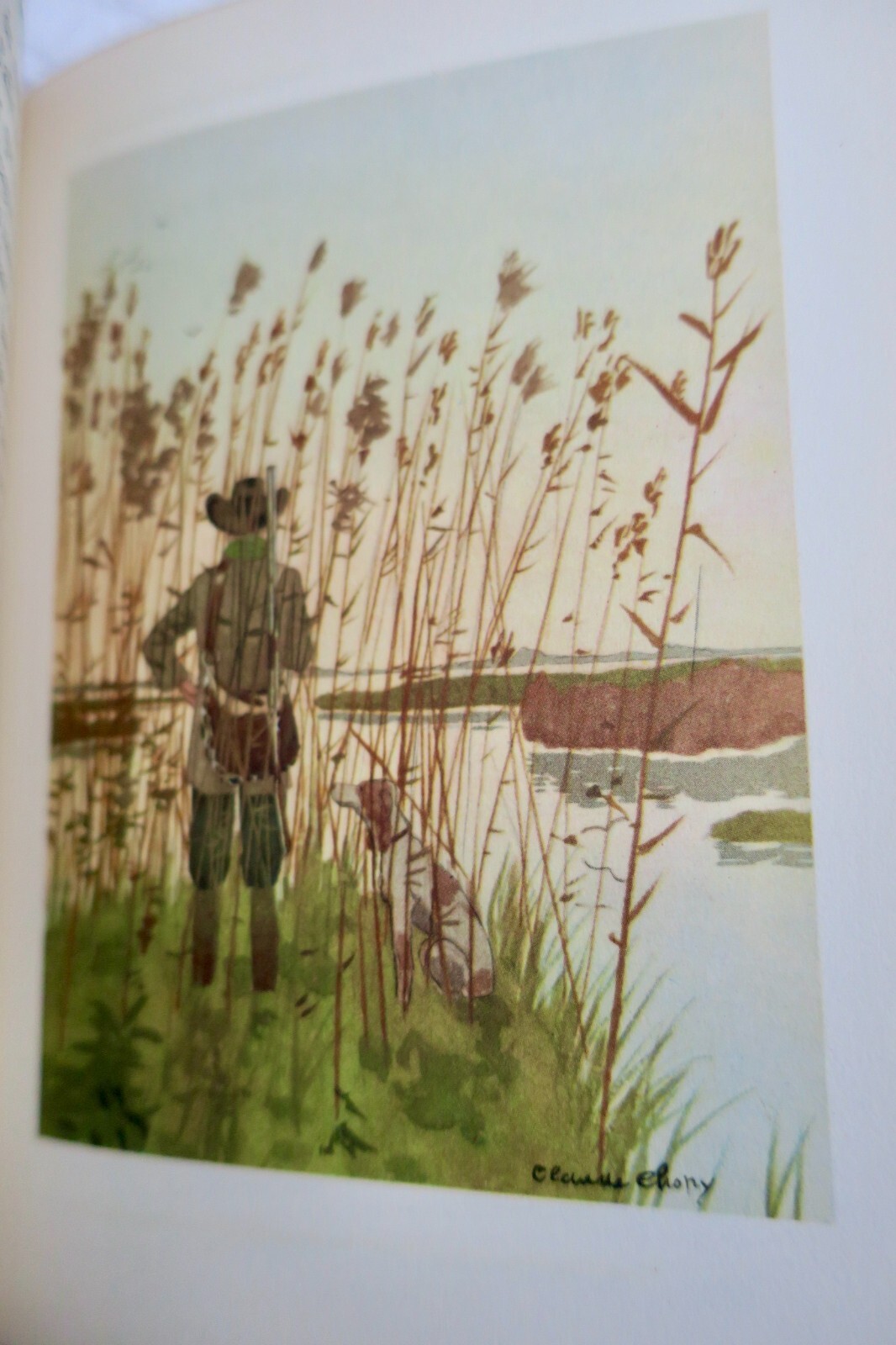 私の風車からの手紙、イラスト版 - Image 11