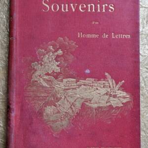 Erinnerungen eines Literaten