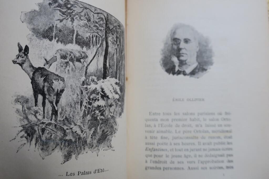 Reflections of a Literary Man
