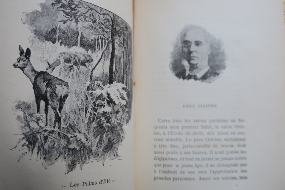Erinnerungen eines Literaten<span class="lla-card-orig-wrap"><span class="lla-card-orig">❦ DAUDET Souvenirs d’un Homme de lettres. EO</span></span> - La Librairie Antique