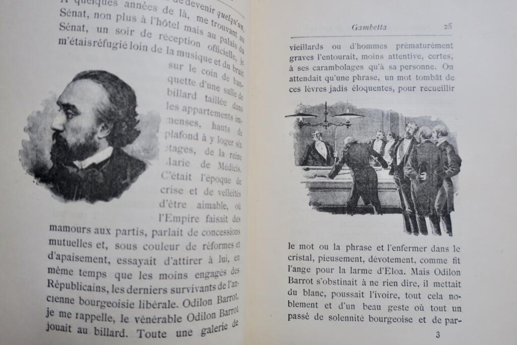 Reflections of a Literary Man