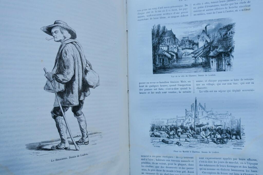 French Society Illustrated
