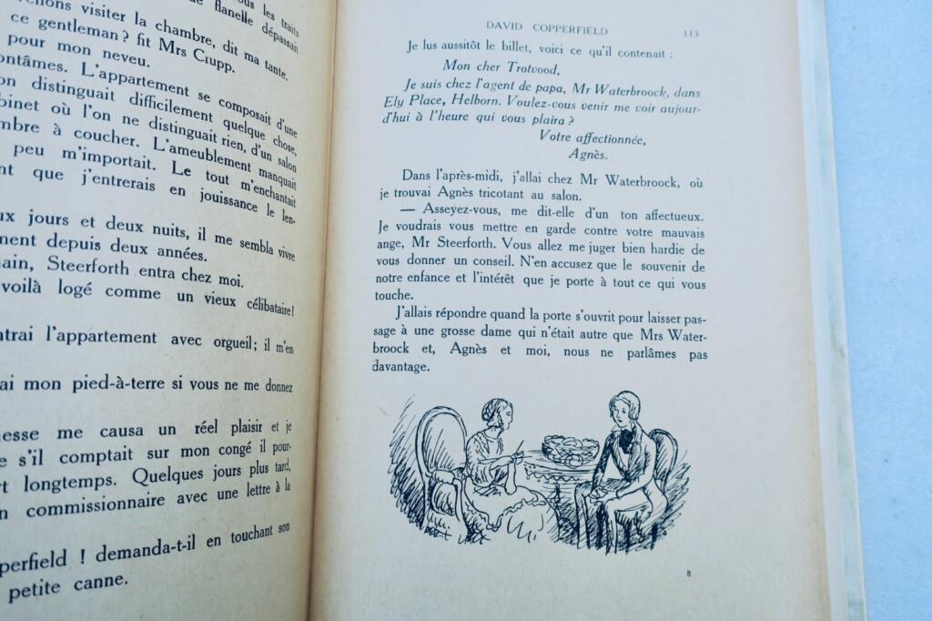 Classic Victorian Novel with Artistic Illustrations