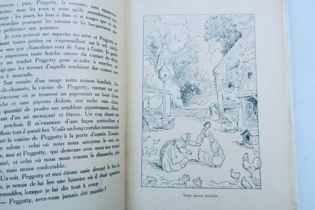Classic Victorian Novel with Artistic Illustrations