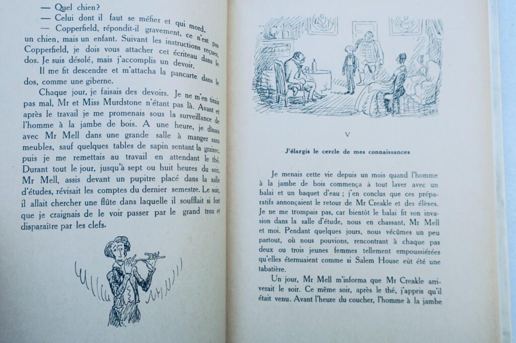 Classic Victorian Novel with Artistic Illustrations