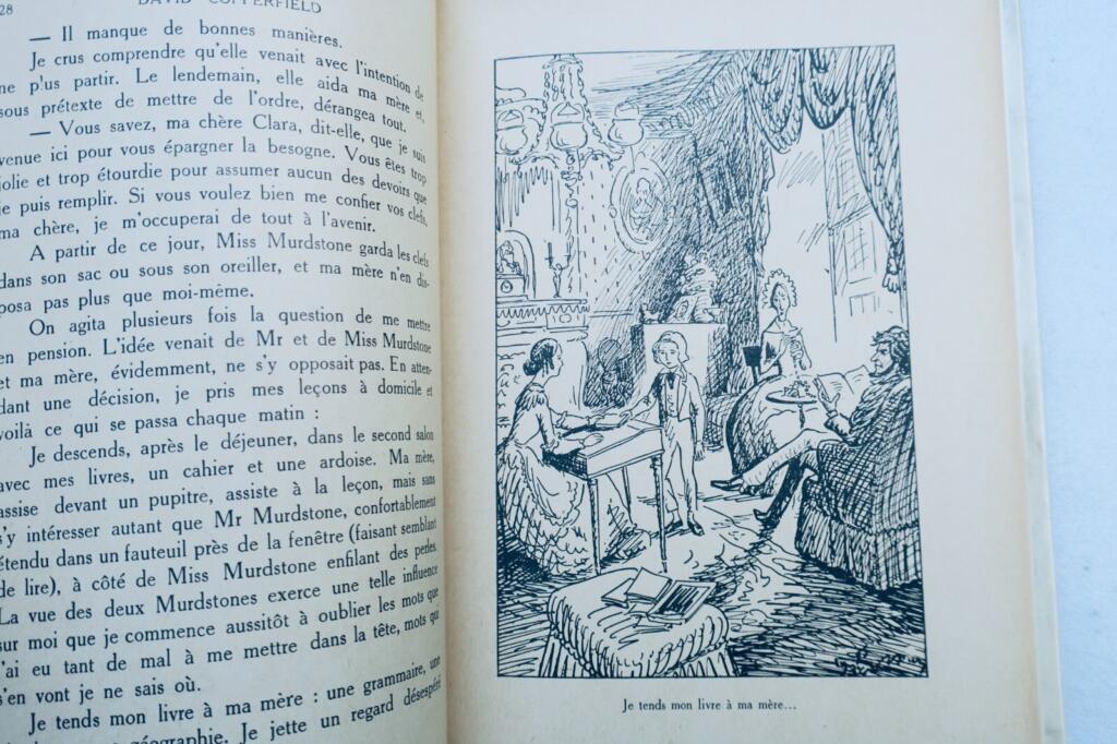 Classic Victorian Novel with Artistic Illustrations