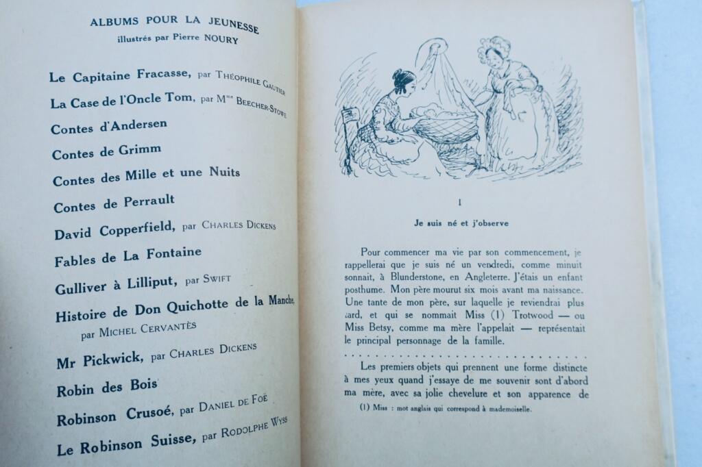 Classic Victorian Novel with Artistic Illustrations