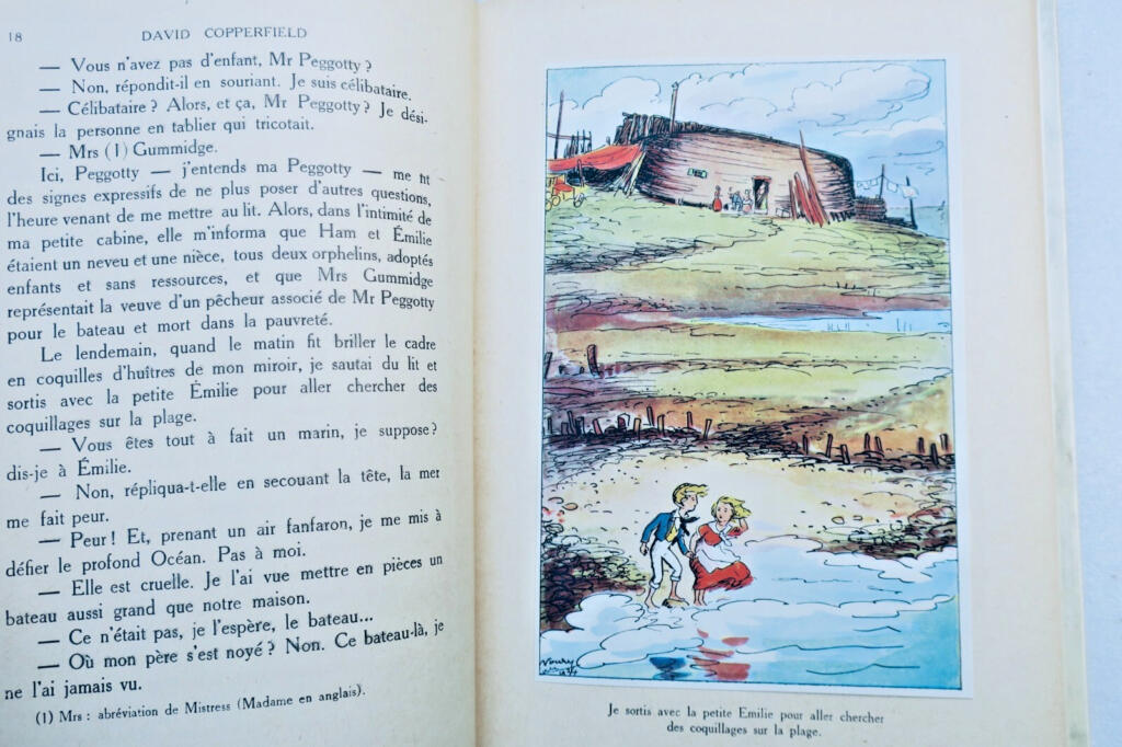 Classic Victorian Novel with Artistic Illustrations