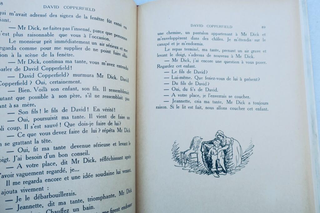 Classic Victorian Novel with Artistic Illustrations