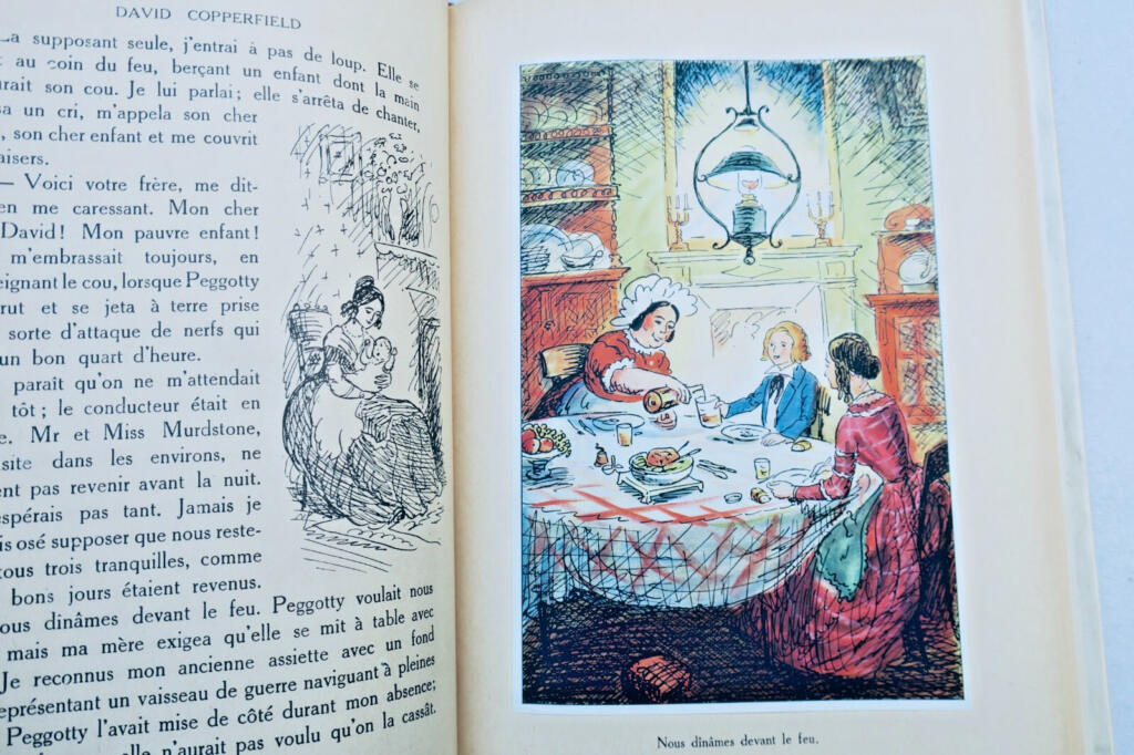 Classic Victorian Novel with Artistic Illustrations