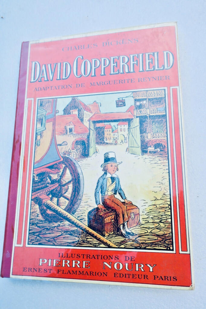 Classic Victorian Novel with Artistic Illustrations