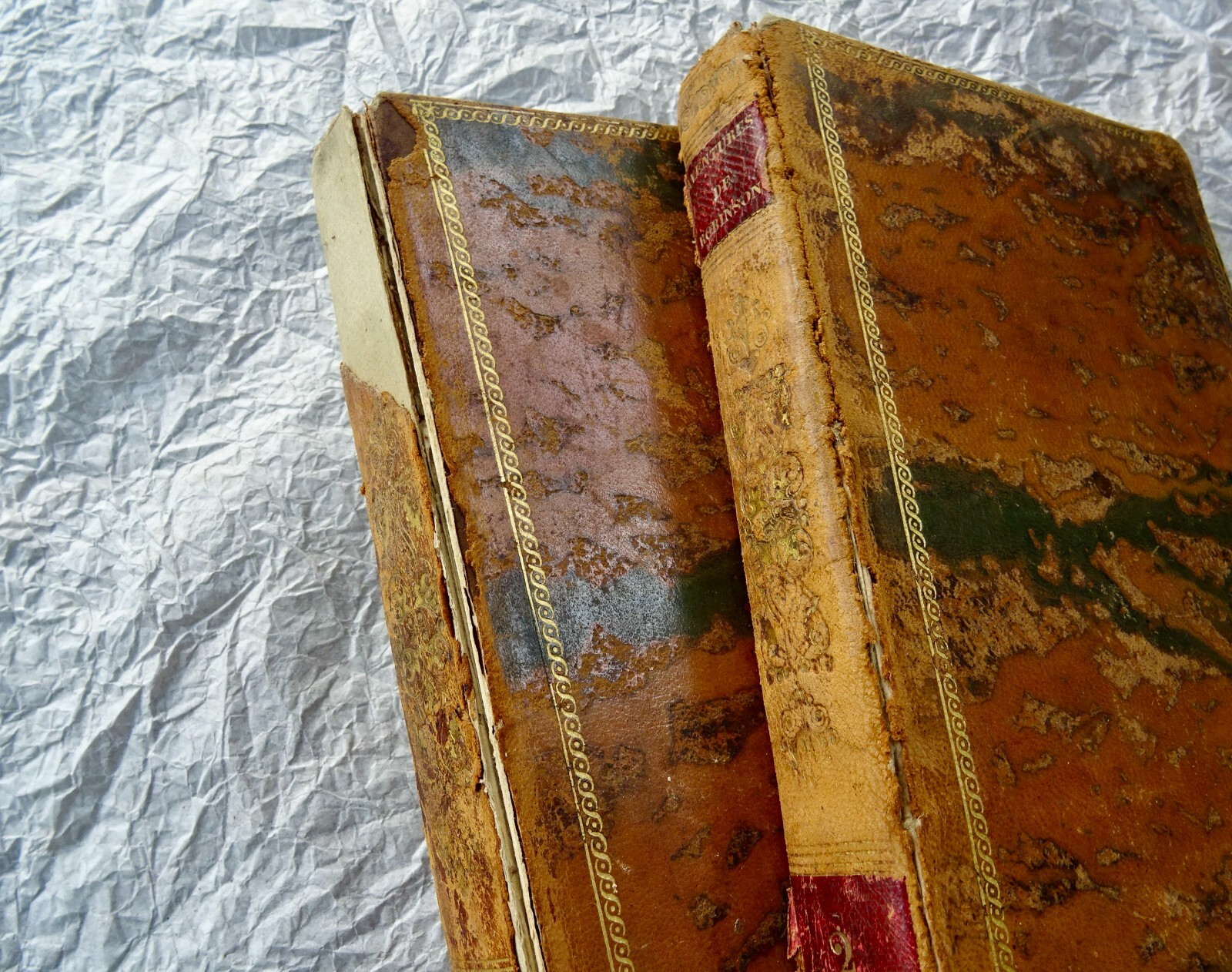 The Adventures of Robinson Crusoe 1837