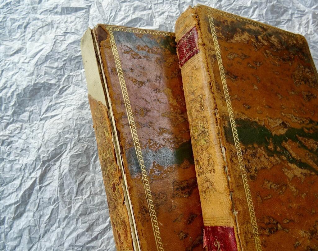 Robinson Crusoe adventures, 1837 Didier edition