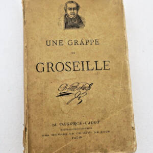 DE KOCK CH. PAUL UNE GRAPPE DE GROSEILLE. A. DEGORCE-CADOT