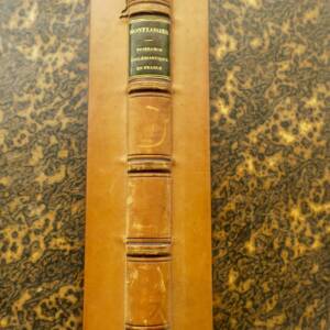 De l'origine, de la nature et des progrès de la puissance ecclésiastique 1829