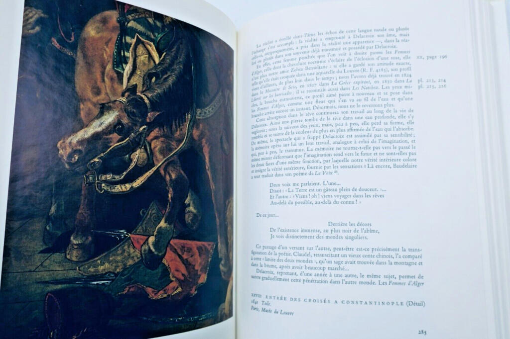DELACROIX: Der einsame Kampf