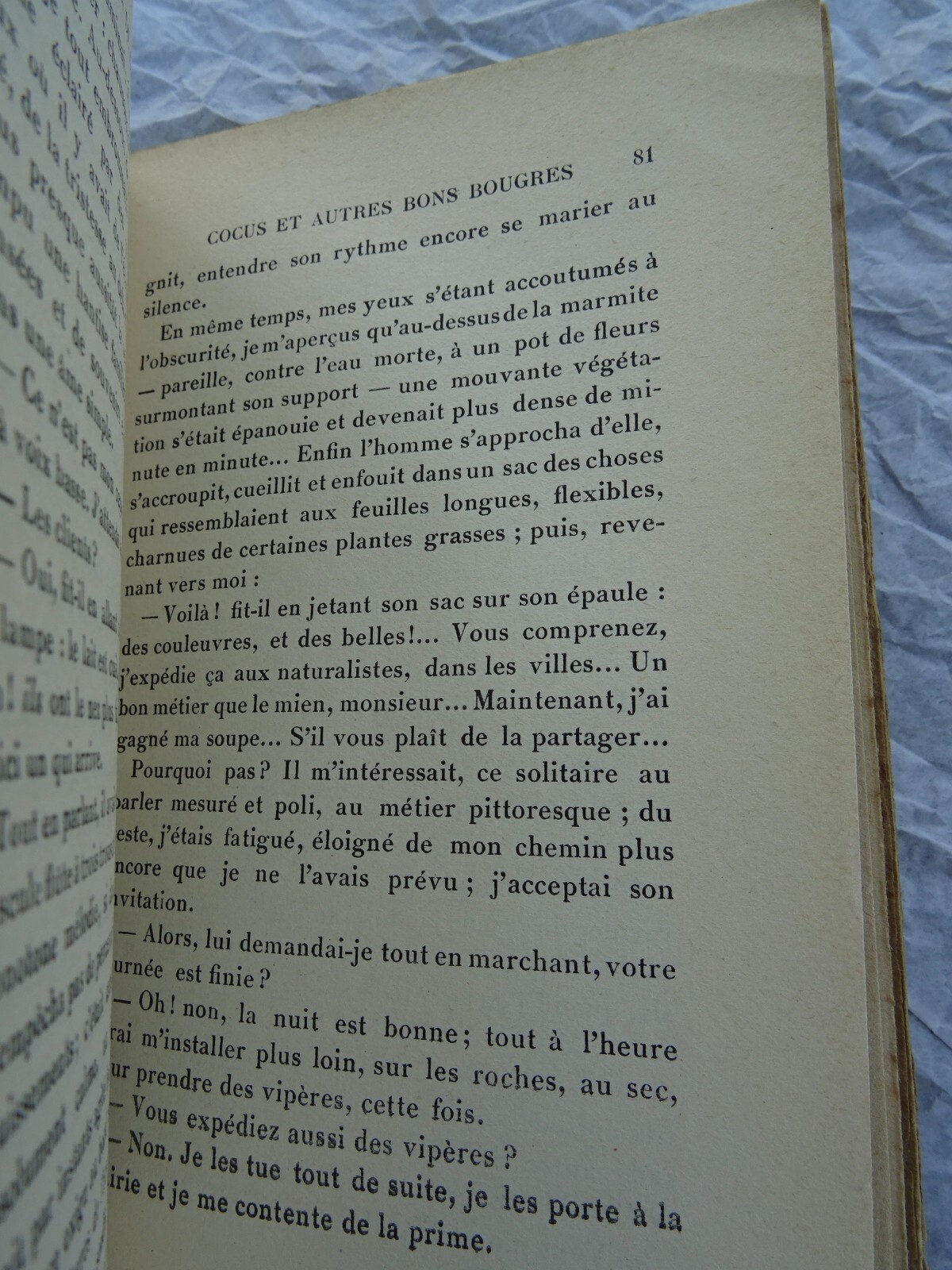Gascogna Pilgrimage Journey - Image 3