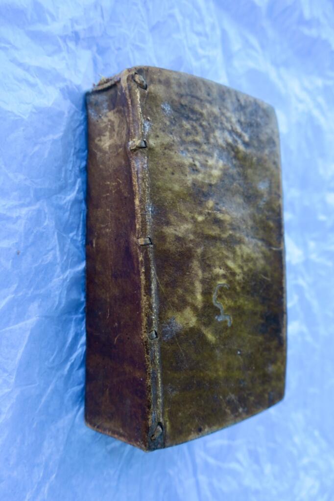 Ariadne narrative poem with royal advisor theme