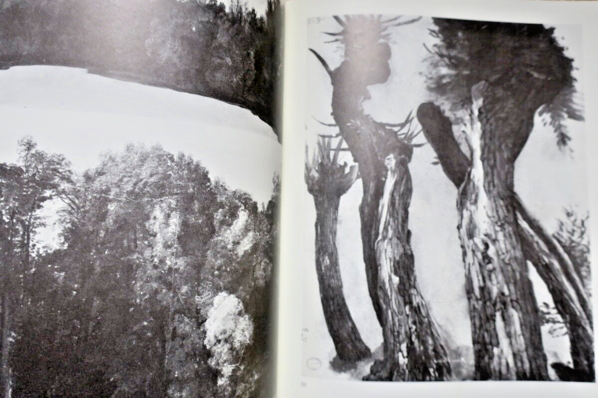 Drawings from Desportes' workshop - Image 6