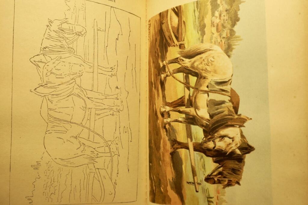 スケッチと絵画の技法