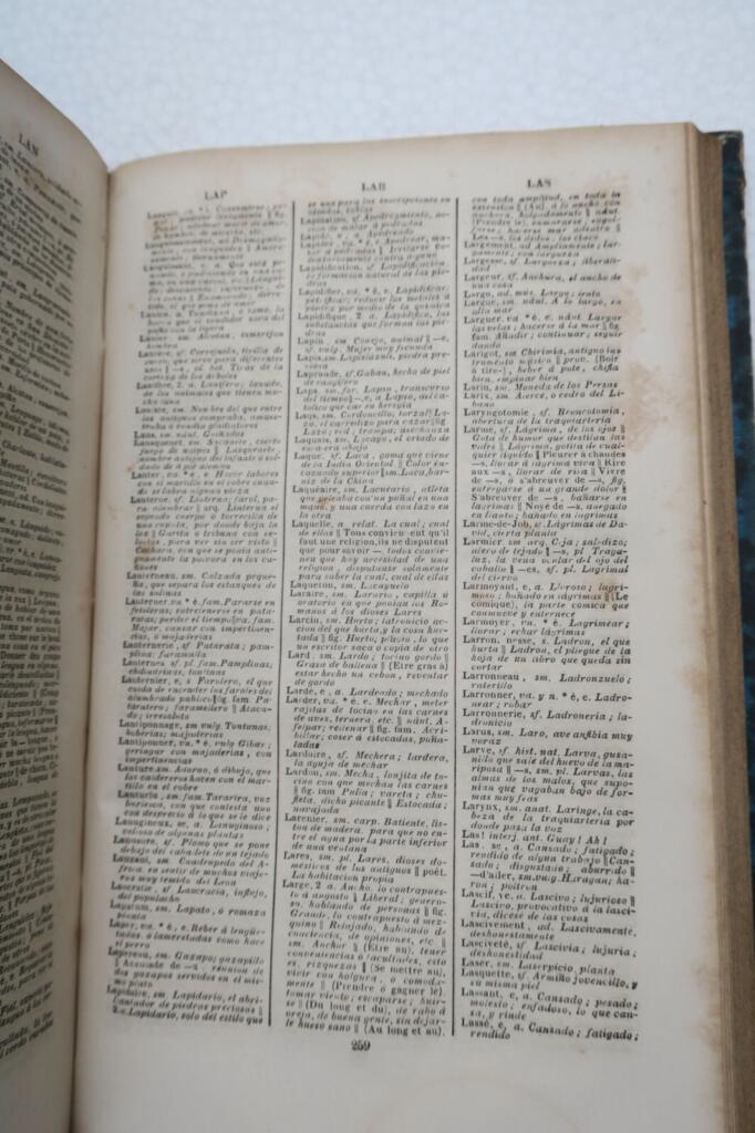 French-Spanish & Spanish-French Dictionary