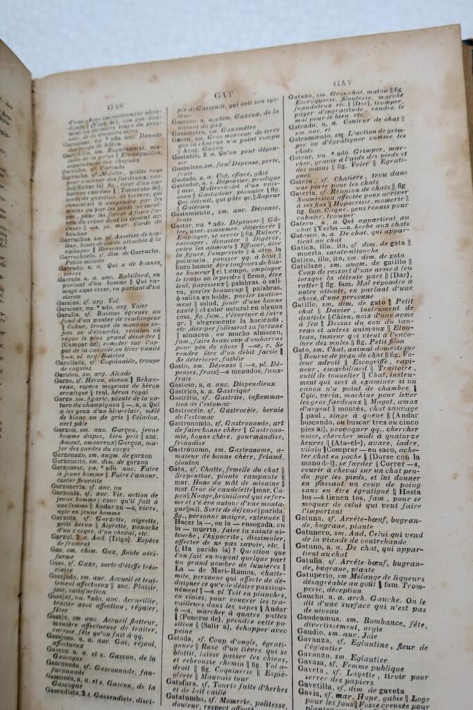 French-Spanish & Spanish-French Dictionary