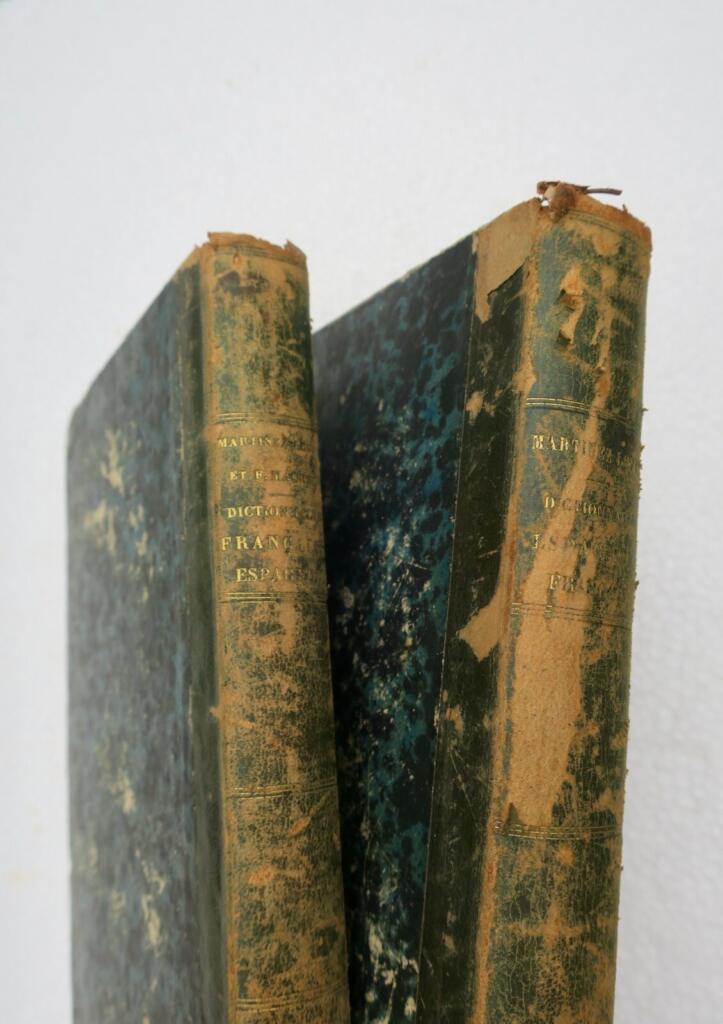 French-Spanish & Spanish-French Dictionary