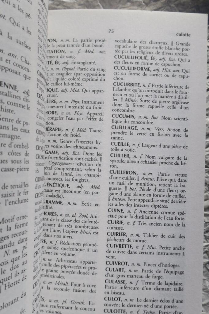 Dictionnaire des mots rares et précieux