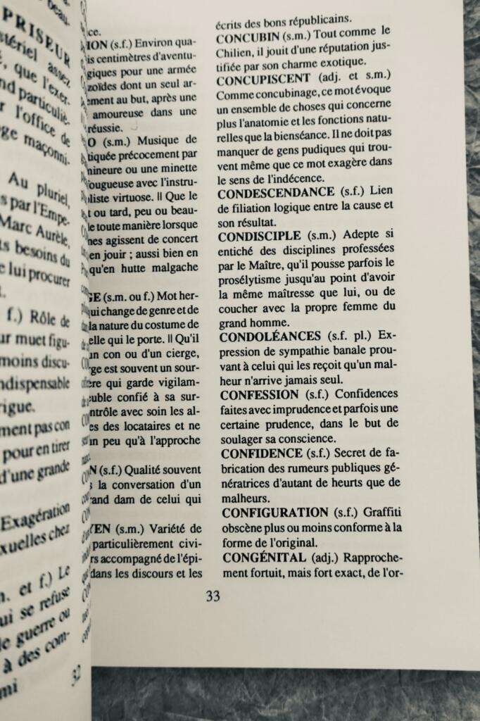 Dictionnaire – du Sûr Réalisme