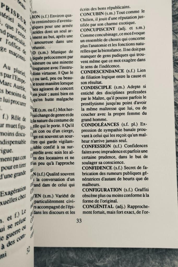 Wörterbuch des Sicheren Realismus