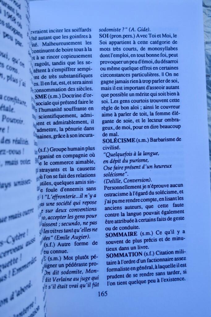 Dictionnaire – du Sûr Réalisme