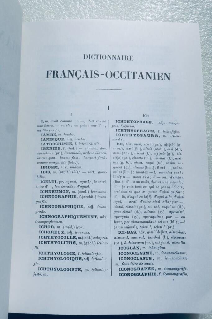 French-Occitan Dictionary (I-Z)