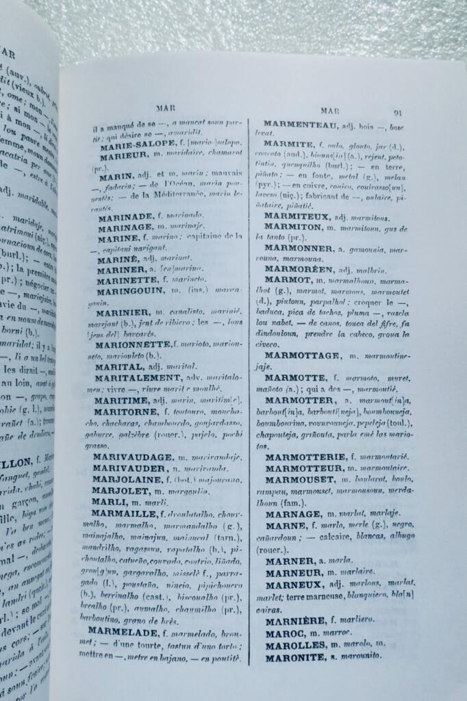 French-Occitan Dictionary (I-Z)