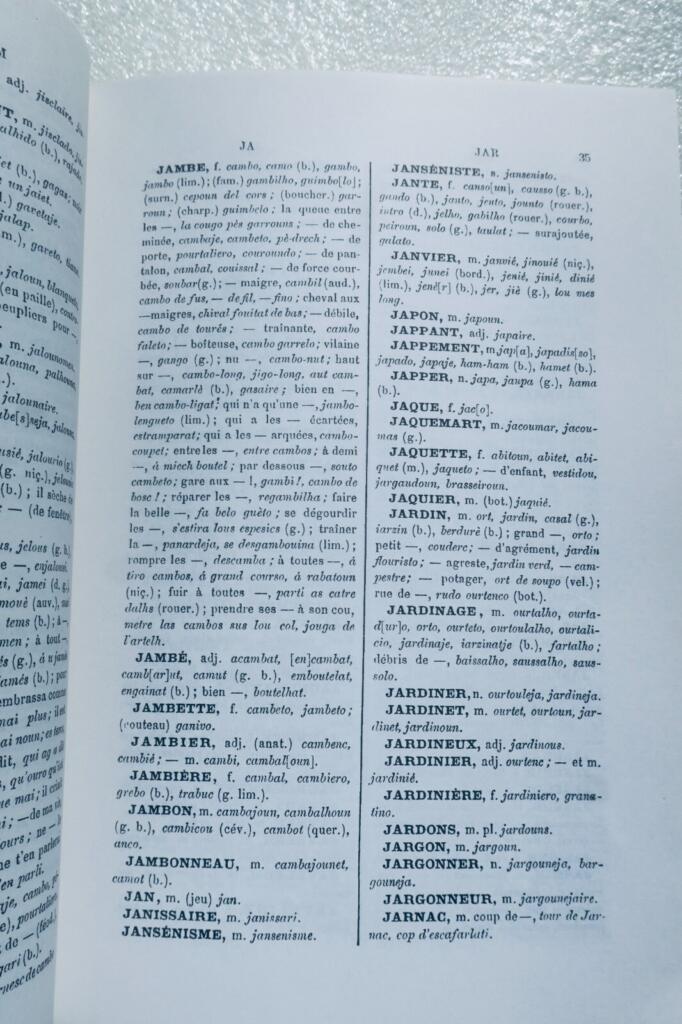 French-Occitan Dictionary (I-Z)