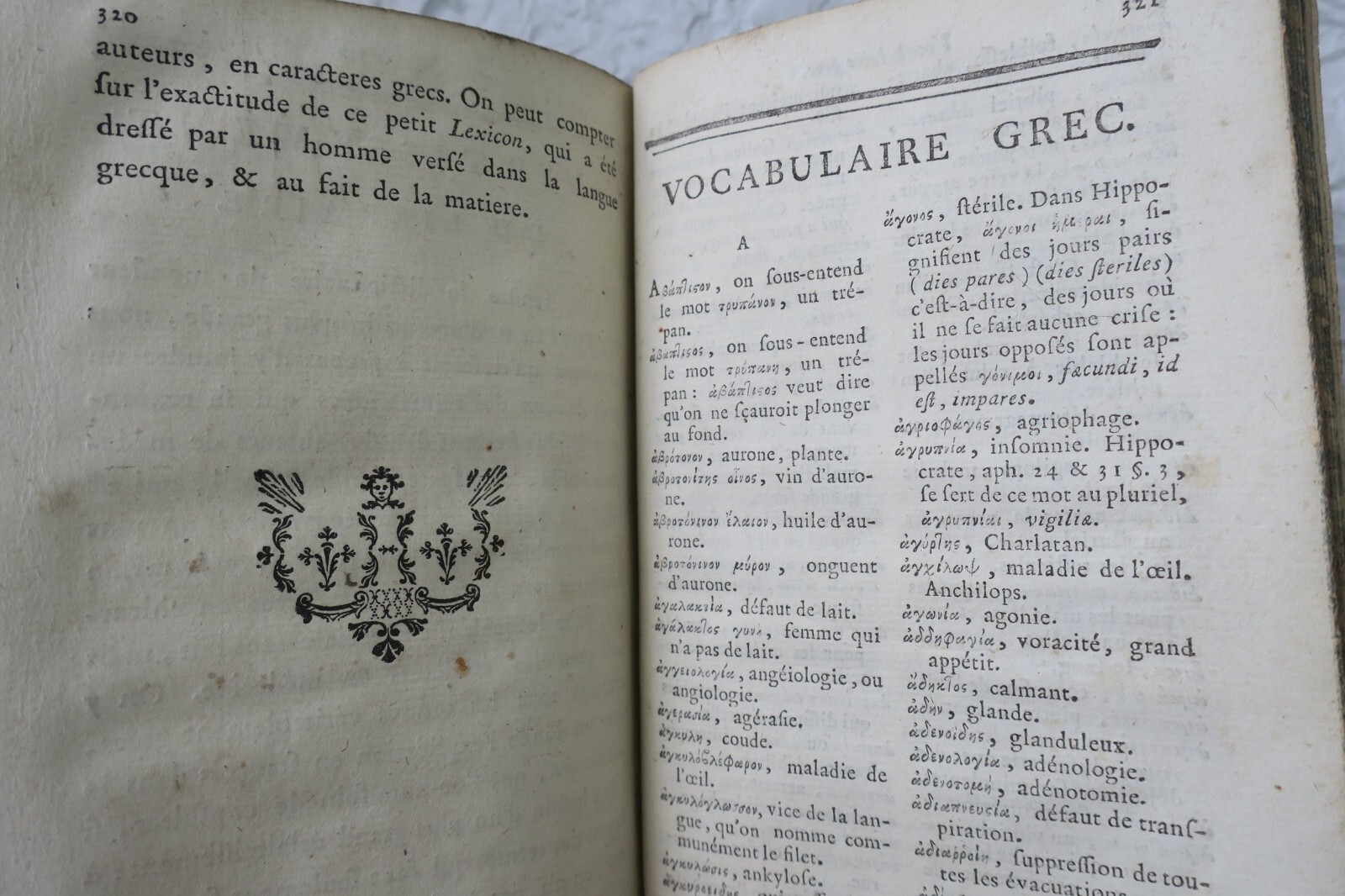 Tragbares medizinisches Wörterbuch mit Anatomie und Chirurgie - Image 6