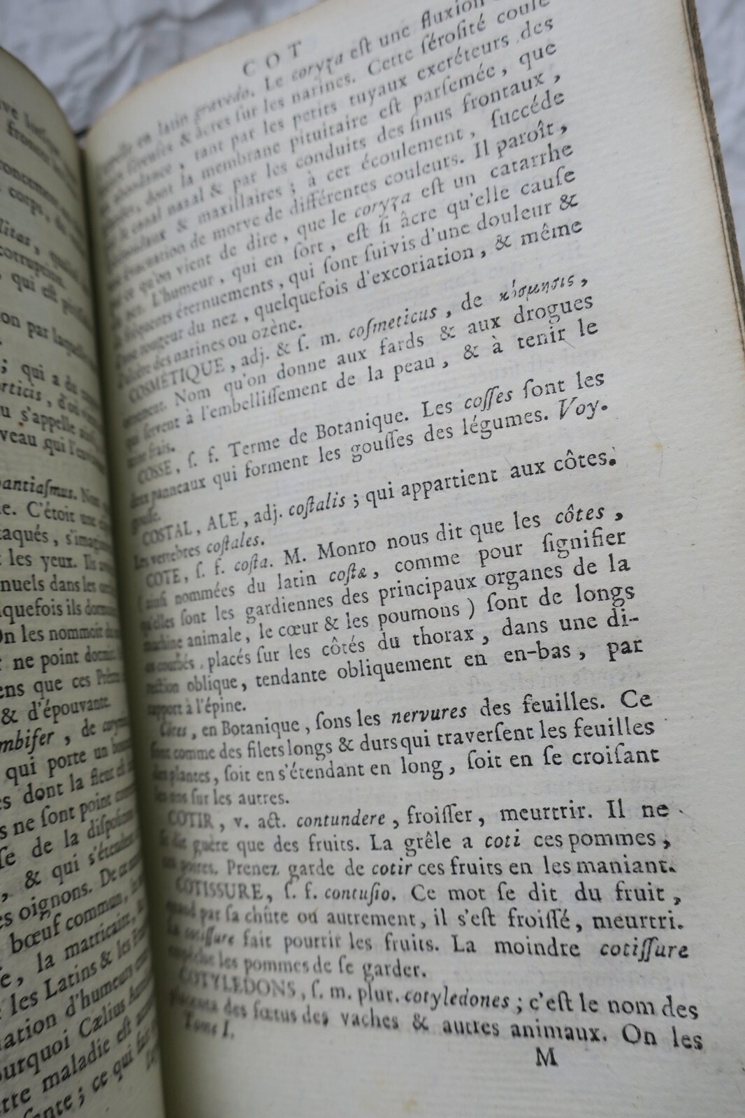 Tragbares medizinisches Wörterbuch mit Anatomie und Chirurgie - Image 5