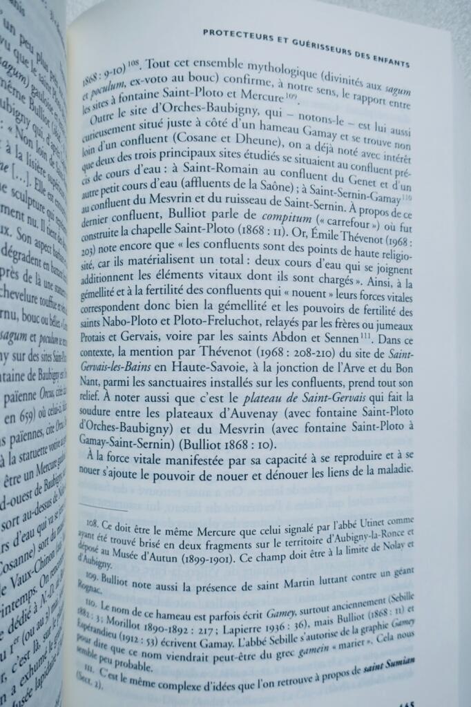 Thematic and Geographical Dictionary of Imaginary Saints